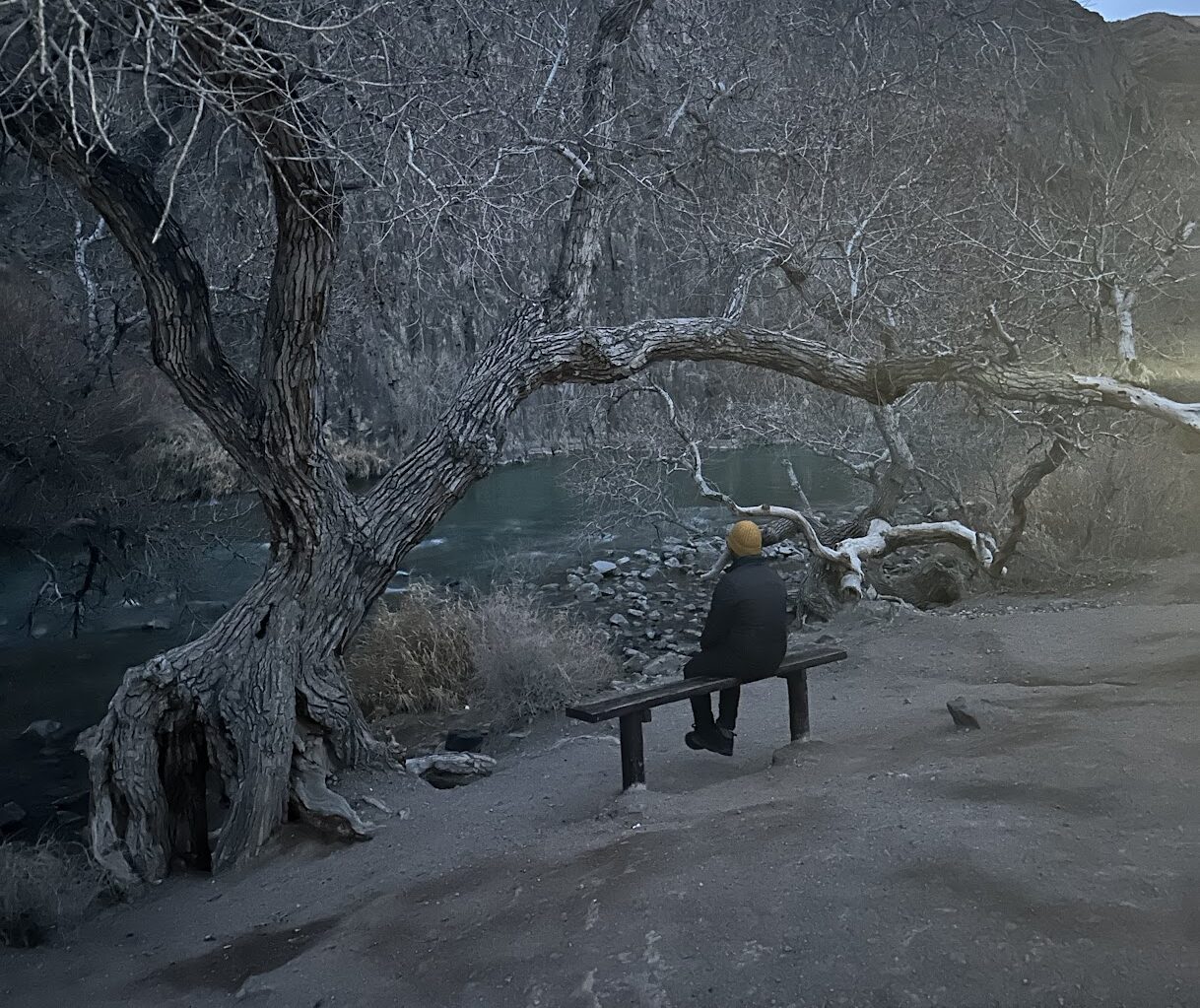 Capturing love, Living Solitude | Ombre